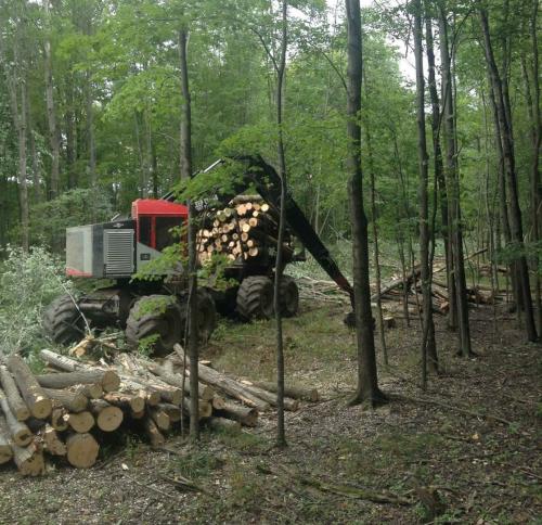 Copeland Lumber Llc fleet